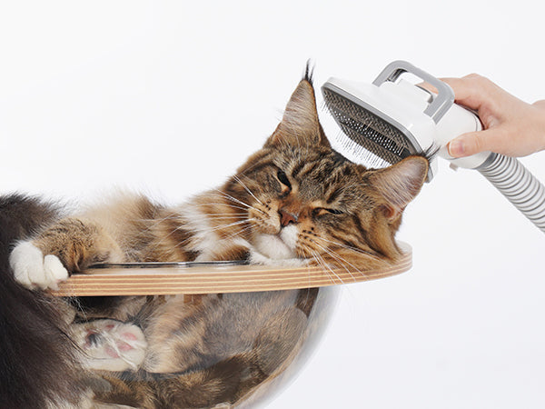 Neakasa P0 Pro/Lite 5-in-1 Pet Grooming Vacuum Kit