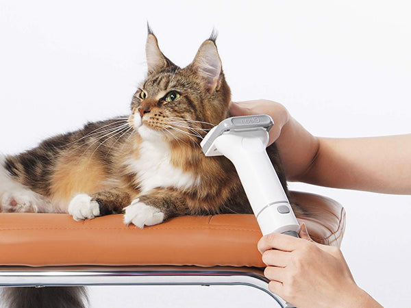 Neakasa P0 Pro/Lite 5-in-1 Pet Grooming Vacuum Kit